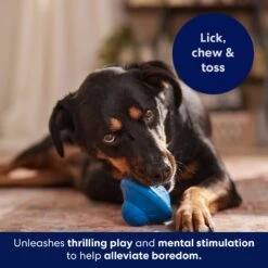 Frisco Flying Saucer Rubber Treat Dispenser Dog Toy -PetSafe Kong Shop 164757 PT5. AC SS1800 V1691784247