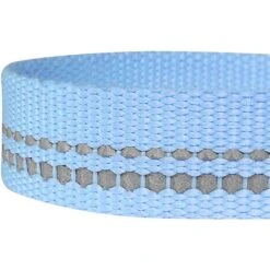 Blueberry Pet 3M Pastel Polyester Reflective Dog Leash 7 Blueberry Pet 3M Pastel Polyester Reflective Dog Leash -PetSafe Kong Shop 164953 PT2. AC SS1800 V1555006345