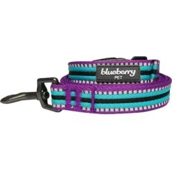 Blueberry Pet 3M Striped Polyester Reflective Dog Leash