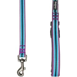 Blueberry Pet 3M Striped Polyester Reflective Dog Leash -PetSafe Kong Shop 164968 PT3. AC SS1800 V1555006642