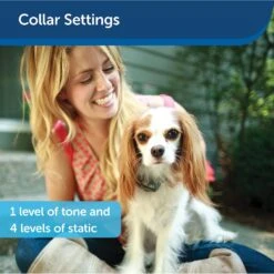 PetSafe Little Dog In-Ground Fence -PetSafe Kong Shop 166185 PT4. AC SS1800 V1626451352