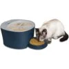 PetSafe 6-Meal Automatic Dog & Cat Feeder