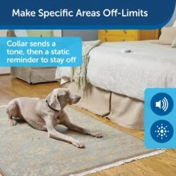 PetSafe Pawz Away Mini Waterproof Adjustable Range Indoor Pet Barrier Kit -PetSafe Kong Shop 166232 PT2. AC SS1800 V1605053848