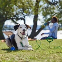 Frisco Easy Grip Stake With Tie Out Cable, Large -PetSafe Kong Shop 166447 PT5. AC SS1800 V1701796826