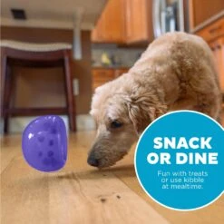 Planet Dog Orbee-Tuff Lil Snoop Treat Dispensing Tough Dog Chew Toy -PetSafe Kong Shop 169717 PT4. AC SS1800 V1646780791