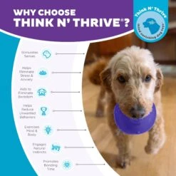 Planet Dog Orbee-Tuff Lil Snoop Treat Dispensing Tough Dog Chew Toy -PetSafe Kong Shop 169717 PT5. AC SS1800 V1687966995