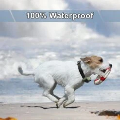 IPets PET618 Extra Collar Receiver -PetSafe Kong Shop 172601 PT2. AC SS1800 V1626747414