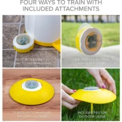 Arf Pets Memory & Training Activity Dog Treat Dispenser -PetSafe Kong Shop 173296 PT3. AC SS1800 V1626222734