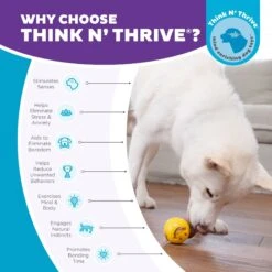 Planet Dog Orbee-Tuff Nooks Treat Dispensing Tough Dog Chew Toy -PetSafe Kong Shop 173752 PT5. AC SS1800 V1646765257