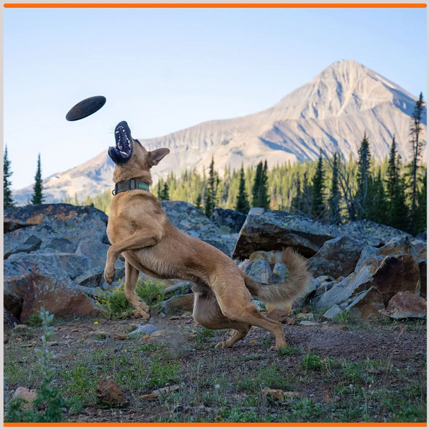 Monster K9 Dog Toys Indestructible Flying Disc Dog Toy 4 Monster K9 Dog Toys Indestructible Flying Disc Dog Toy - Image 4