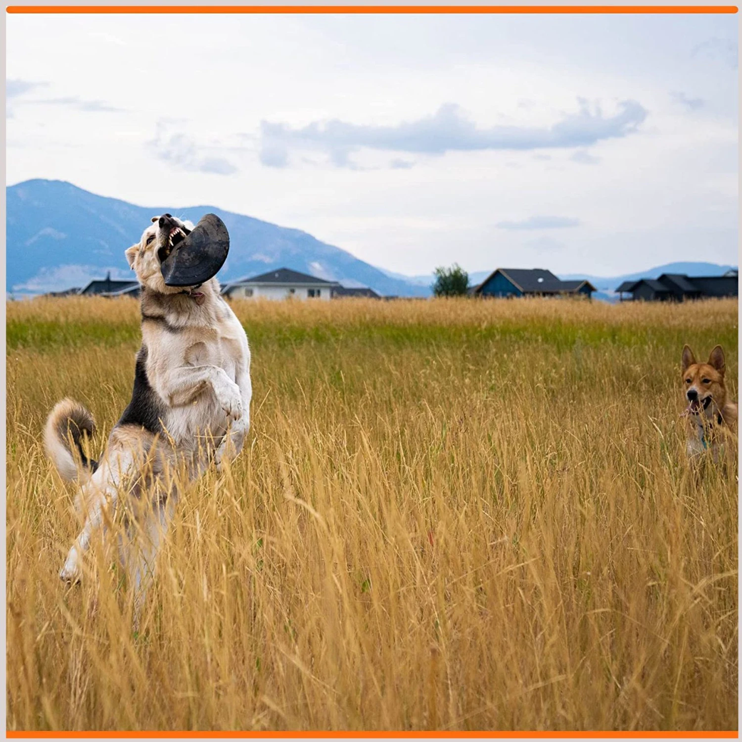 Monster K9 Dog Toys Indestructible Flying Disc Dog Toy 5 Monster K9 Dog Toys Indestructible Flying Disc Dog Toy - Image 5