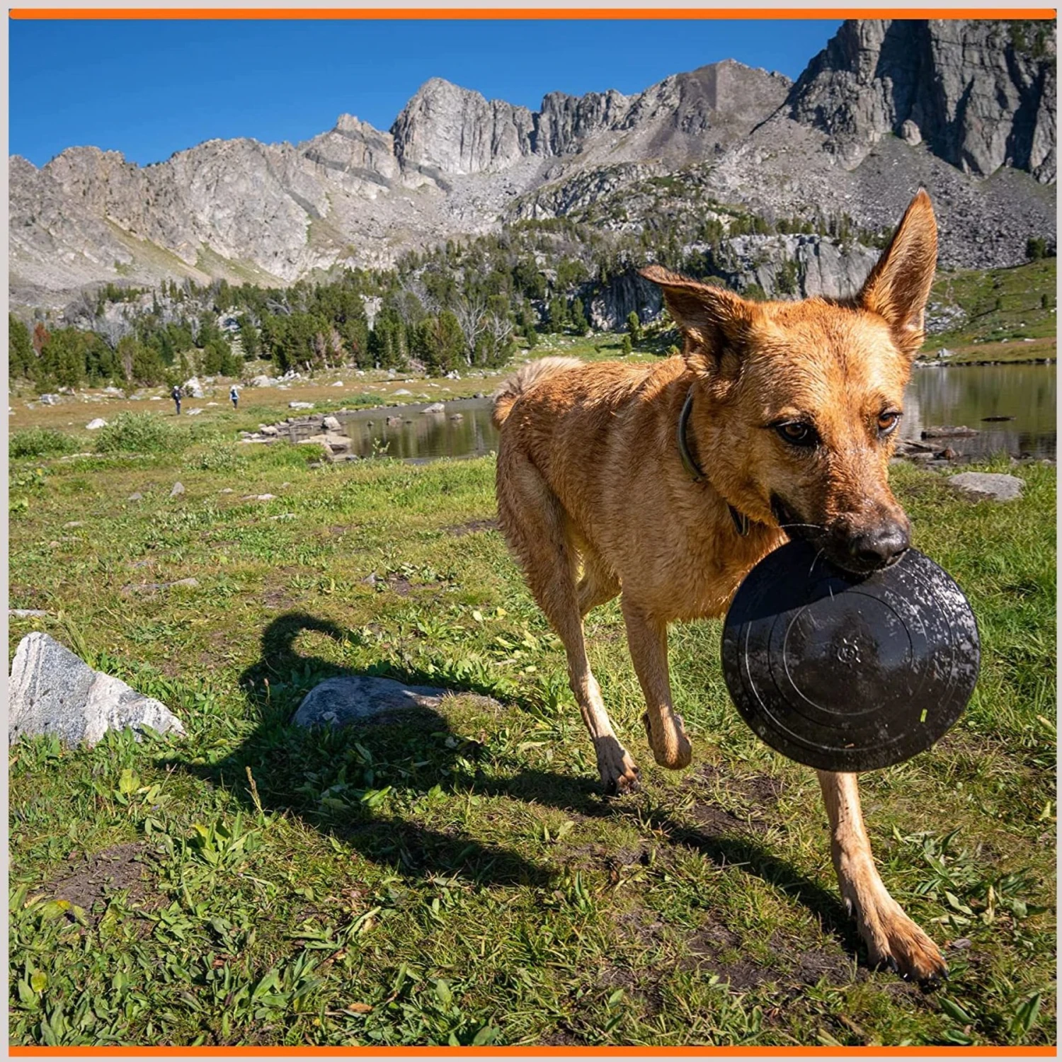 Monster K9 Dog Toys Indestructible Flying Disc Dog Toy 7 Monster K9 Dog Toys Indestructible Flying Disc Dog Toy - Image 7