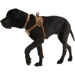 Carhartt Training Dog Harness -PetSafe Kong Shop 174384 PT6. AC SS1800 V1559224626