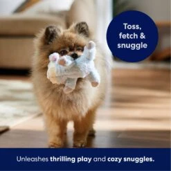 Frisco Lamb Plush Squeaky Dog Toy -PetSafe Kong Shop 174686 PT4. AC SS1800 V1695659156