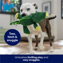Frisco Alligator Corduroy Plush Squeaky Dog Toy -PetSafe Kong Shop 174705 PT5. AC SS1800 V1686580081
