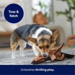 Frisco Beaver Stuffing-Free Flat Plush Squeaky Dog Toy -PetSafe Kong Shop 174729 PT4. AC SS1800 V1695671063