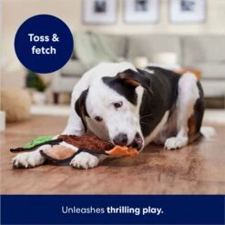 Frisco Mallard Stuffing-Free Flat Plush Squeaky Dog Toy -PetSafe Kong Shop 174731 PT5. AC SS1800 V1686579082