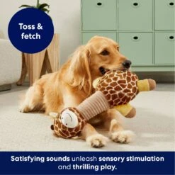 Frisco Giraffe Bobberz Plush Squeaky Dog Toy -PetSafe Kong Shop 174739 PT4. AC SS1800 V1695748355