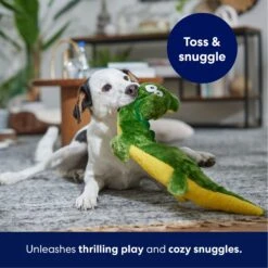 Frisco Alligator Wagazoo Plush Squeaky Dog Toy 10 Frisco Alligator Wagazoo Plush Squeaky Dog Toy -PetSafe Kong Shop 174751 PT4. AC SS1800 V1695659148