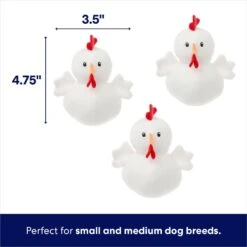 Frisco Chicken Coop Hide & Seek Puzzle Plush Squeaky Dog Toy -PetSafe Kong Shop 174755 PT2. AC SS1800 V1691783968