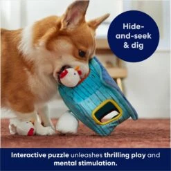 Frisco Chicken Coop Hide & Seek Puzzle Plush Squeaky Dog Toy -PetSafe Kong Shop 174755 PT5. AC SS1800 V1691783971