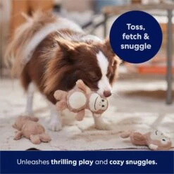 Frisco Monkeys In Tree Hide & Seek Puzzle Plush Squeaky Dog Toy Refills -PetSafe Kong Shop 174768 PT5. AC SS1800 V1691784249