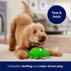 Frisco Alligator Latex Squeaky Dog Toy -PetSafe Kong Shop 174772 PT3. AC SS1800 V1686579212