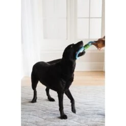 JW Pet Giggle Tug Dog Toy 3 JW Pet Giggle Tug Dog Toy -PetSafe Kong Shop 175076 PT1. AC SS1800 V1562177306