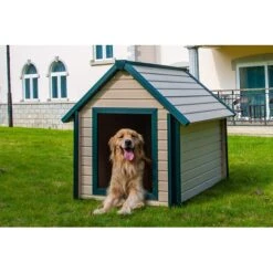 New Age Pet EcoFLEX Bunk Style Dog House 9 New Age Pet EcoFLEX Bunk Style Dog House -PetSafe Kong Shop 175308 PT4. AC SS1800 V1563816718
