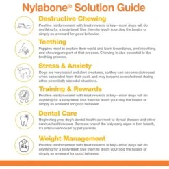 Nylabone Power Chew Customer Favorites Dog Chew Toy Bundle Customer Favorites Bundle Variety -PetSafe Kong Shop 175398 PT8. AC SS1800 V1685650134