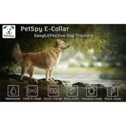 PetSpy P320 1200-ft Static Remote Dog Training Collar 12 PetSpy P320 1200-ft Static Remote Dog Training Collar -PetSafe Kong Shop 175497 PT5. AC SS1800 V1569424021