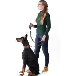 PetSpy Camo Bungee Dog Leash, 4 - 6 Ft -PetSafe Kong Shop 175504 PT8. AC SS1800 V1558560723