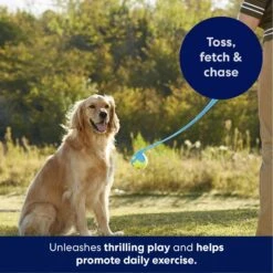 Frisco Ball Launcher & Fetch Squeaky Tennis Ball Dog Toy -PetSafe Kong Shop 178477 PT3. AC SS1800 V1695241970