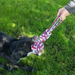 Otterly Pets 4" Ball & 23" Three Knot Handled Dog Rope Toys -PetSafe Kong Shop 178531 PT3. AC SS1800 V1589381453