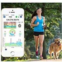 High Tech Pet Products Bluefang Smartphone-Controlled 5-in-1 Waterproof Dog Training Collar -PetSafe Kong Shop 178715 PT4. AC SS1800 V1563300173