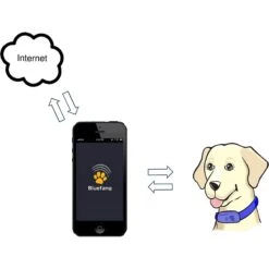 High Tech Pet Products Bluefang Smartphone-Controlled 5-in-1 Waterproof Dog Training Collar -PetSafe Kong Shop 178715 PT7. AC SS1800 V1563289931