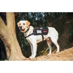 OneTigris Apollo 09 Tactical Dog Harness -PetSafe Kong Shop 178751 PT6. AC SS1800 V1561051628