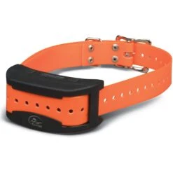 SportDOG SDF-CT Contain + Train System & Add-A-Dog Collar