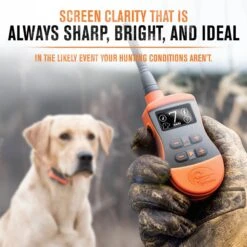 SportDOG SportTrainer 575E Remote Training Dog Collar 9 SportDOG SportTrainer 575E Remote Training Dog Collar -PetSafe Kong Shop 179664 PT3. AC SS1800 V1595980879