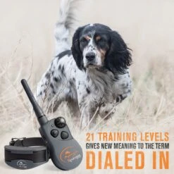 SportDOG SportHunter 1825X Remote Training Dog Collar 9 SportDOG SportHunter 1825X Remote Training Dog Collar -PetSafe Kong Shop 179674 PT3. AC SS1800 V1595981160