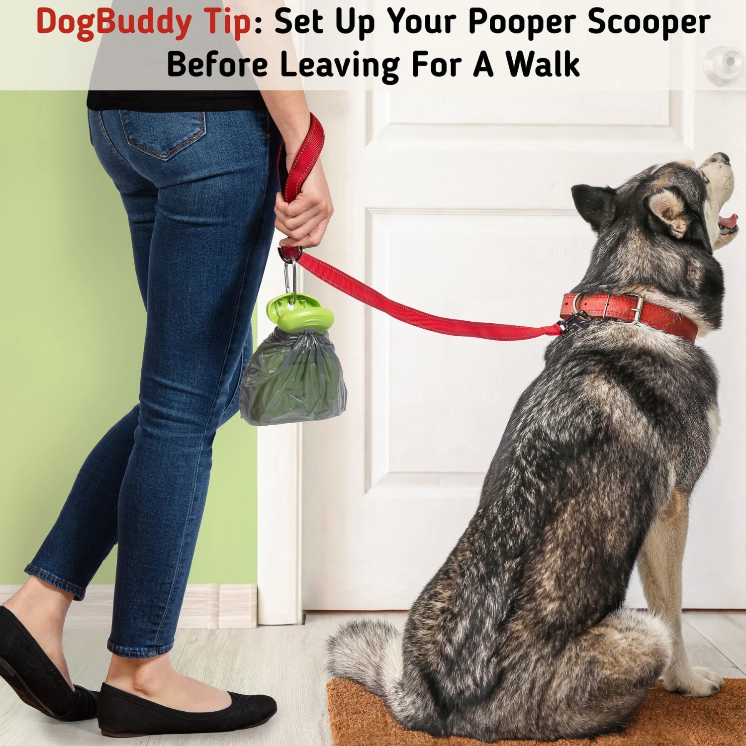 DogBuddy Dog Pooper Scooper 8 DogBuddy Dog Pooper Scooper - Image 8