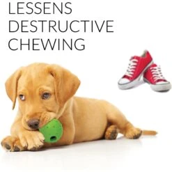 Rocket & Rex Puppy Chew Toy Variety Pack For Small To Medium Breeds 10 Rocket & Rex Puppy Chew Toy Variety Pack For Small To Medium Breeds -PetSafe Kong Shop 180484 pt4. AC SS1800 V1564597080