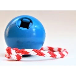 USA-K9 Cherry Bomb Treat Dispensing Tough Dog Chew Toy -PetSafe Kong Shop 181059 PT2. AC SS1800 V1564608141