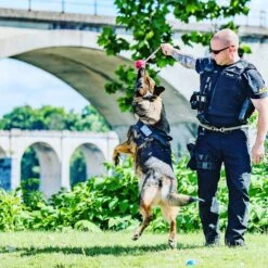 USA-K9 Cherry Bomb Treat Dispensing Tough Dog Chew Toy -PetSafe Kong Shop 181059 PT5. AC SS1800 V1564608120