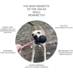 USA-K9 Magnum Skull Treat Dispensing Tough Dog Chew Toy -PetSafe Kong Shop 181070 PT4. AC SS1800 V1564608443