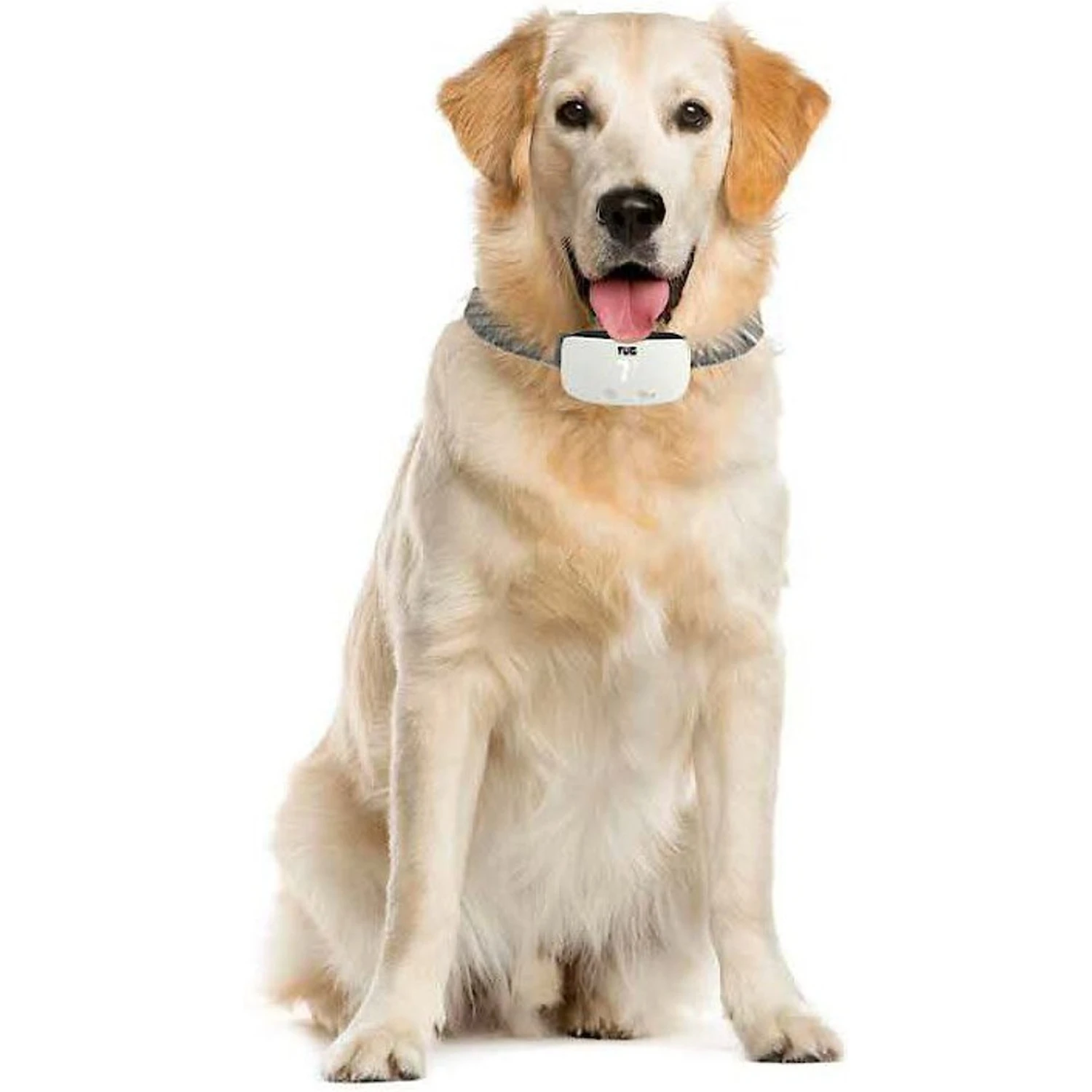 TUG Rechargeable Waterproof Dog Bark Collar, White 8 TUG Rechargeable Waterproof Dog Bark Collar, White - Image 8