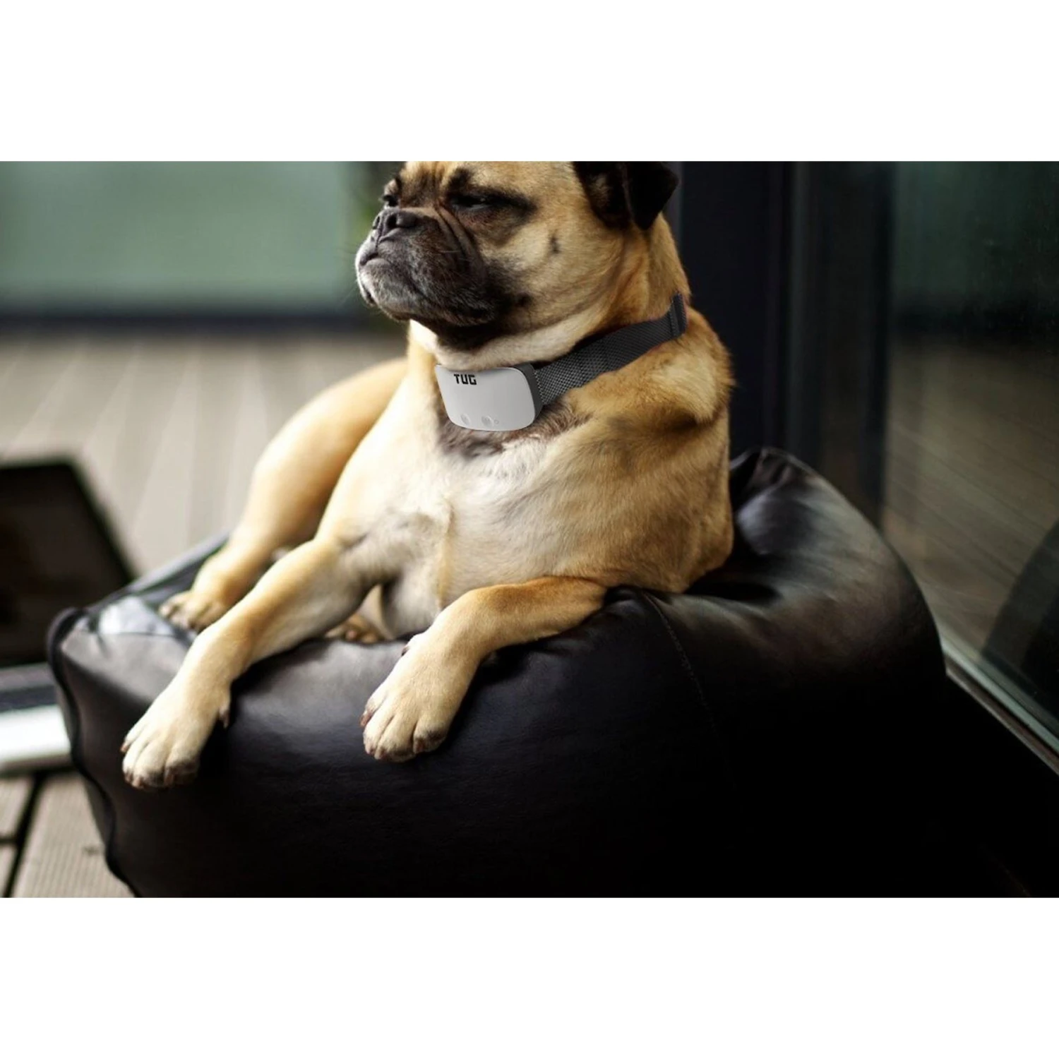 TUG Rechargeable Waterproof Dog Bark Collar, White 9 TUG Rechargeable Waterproof Dog Bark Collar, White - Image 9