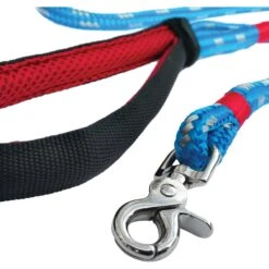 Kurgo Ascender Polyester Dog Leash -PetSafe Kong Shop 181152 PT2. AC SS1800 V1600732555