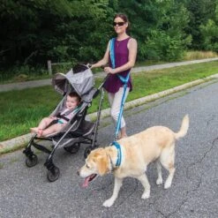 Kurgo RSG Dog Sling Thing Dog Leash Attachment -PetSafe Kong Shop 181225 PT3. AC SS1800 V1600737360