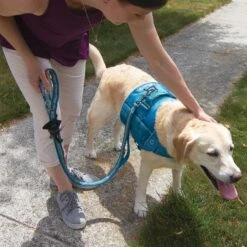 Kurgo RSG Stub Polyester Reflective Dog Leash -PetSafe Kong Shop 181227 PT5. AC SS1800 V1600735904